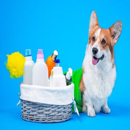 Higiene para Cães
